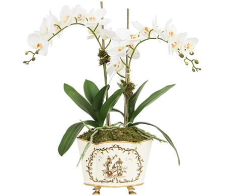 Gorgeous orchids in ivory/gold tole container