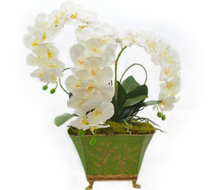 Three Stem Orchid in Green and Gold Chinoiserie Planter