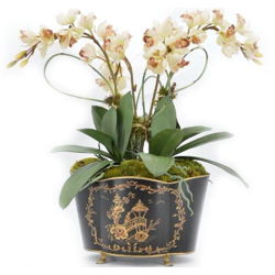 CF91 Large impressive orchid arrangement in black tole planter 