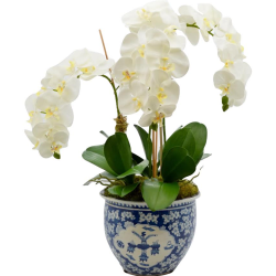 Four Stem Orchid in Figurine Cherry Blossom Fishbowl