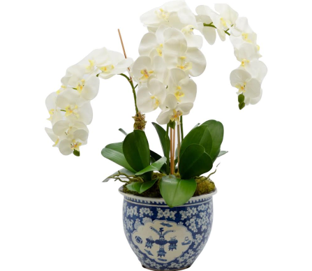 Four Stem Orchid in Figurine Cherry Blossom Fishbowl
