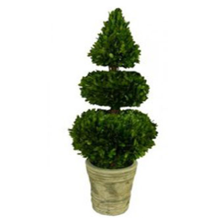 28" Classic Cone and Ball Boxwood Topiary