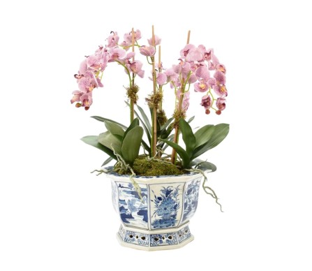 Four Stem Pink/Purple Orchid in Scalloped Floral Planter